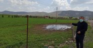 Gercüş'te sağanak yağış ekinlere zarar verdi