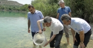 Göletlere 90 bin yavru balık bırakıldı