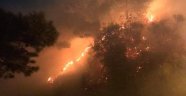 Hatay'da orman yangını : 1 hektar alan zarar gördü