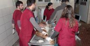 Her ay bin hayvan 55 kişilik ekibin sayesinde şifa buluyor