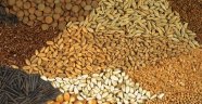 Hububat ve Baklagil Fark Ödemeleri