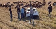 Iğdır'da trafik kazası: 1 yaralı