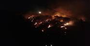 İki İlçede Orman Yangını