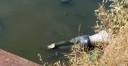 İki sene içinde aynı dereden 4'üncü ceset çıktı