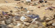 Irak'ta toplu mezar bulundu