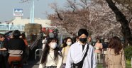 Japonya'da 'sakura' coşkusuna korona virüsü engeli