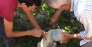 Kafası bidona sıkışan köpeği kurtardılar