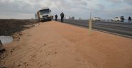 Kamyonlar çarpıştı, yol buğday tarlasına döndü