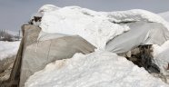 Kar ağırlığına dayanmayan ahır çöktü: 12 koyun telef oldu