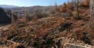 Karaman'da yaşanan heyelan korkuttu