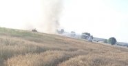 Kargalar kavga yaptı 15 dekarlık buğday tarlası yandı