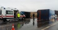 Kargo kamyonu devrildi: 2 yaralı