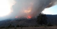 Kastamonu'da orman yangını