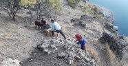Kayalıklarda mahsur kalan keçiler 4 saatte kurtarıldı