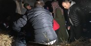 Kaybolan kadın samanlıkta bulundu