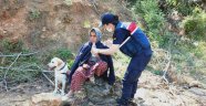 Kayıp olarak aranan kadın ormanlık alanda bulundu
