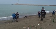 Kayıp yaşlı adamın cesedi 51 gün sonra denizden çıktı