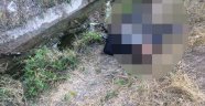Kaza yapan çiftçinin cesedi sulama kanalında bulundu