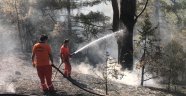 Kemer'deki orman yangını kontrol altına alındı
