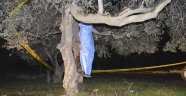 Kendini ağaca asarak intihar etti