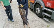 Kendisini uçurumdan kurtaran itfaiyeye böyle teşekkür etti