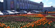 Kırgızistan'ın başkenti Bişkek lalelerle süslendi