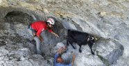 Kırsal bölgede mahsur kalan 4 keçiyi AKUT kurtardı