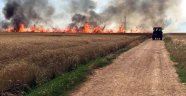 Kızıltepe'de 160 dönüm arazi kül oldu