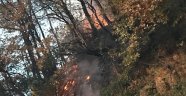 Kocaeli'de ormanlık alanda yangın