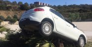 Kontrolünü kaybeden otomobil ağaca çıktı