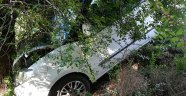 Kontrolünü kaybeden sürücü ağaca çarptı
