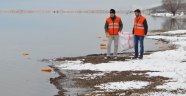 Konya'da 13 flamingo soğuktan öldü