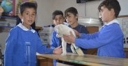 Köy okulu yavru köpeğe yuva oldu