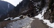Kürtün'de heyelan