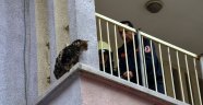 Kuş avlayayım derken balkonda mahsur kaldı