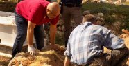 Kuzenler kardeş çıktı, 6 mezar açıldı