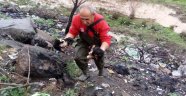 Mahsur kalan yavru köpekleri itfaiye ekipleri kurtardı