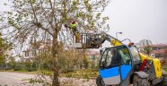 Malatya'da ağaç budama çalışmaları devam ediyor