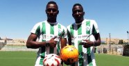 Malatya Yeşilyurt Belediyespor, Malili forvet Diallo'yu transfer etti