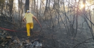 Mangaldan çıkan yangın 7 hektarlık ormanlık alanı yok etti