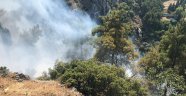 Manisa'da ormanlık alanda yangın