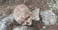 Mersin'de 3 kişiye ait kafatası ve kemik bulundu