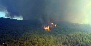 Mersin'de orman yangını