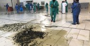 Mescid-i Haram'ı hamamböcekleri bastı