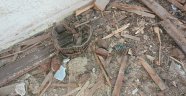 Metruk bir binada tavan arasına gizlenmiş patlamamış el bombaları bulundu