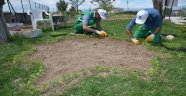 Mezarlıkların Ve Parkların Bakımı Yapılıyor