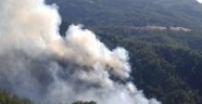 Muğla'da orman yangını