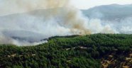 Nazilli'de 10 dönüm ormanlık alan kül oldu