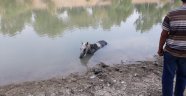 Nehre düşen atı itfaiye ekipleri kurtardı