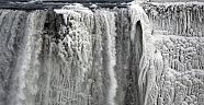 Niagara Şelalesi buz tuttu